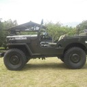 Willys 